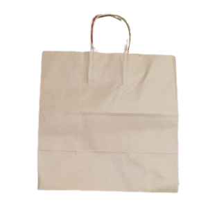 Paper Bag - Medium