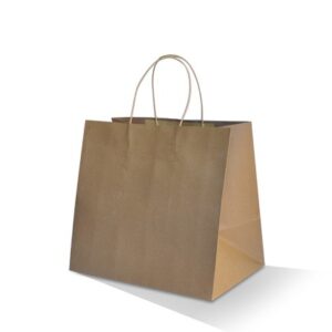 Paper Carry Bag - Large